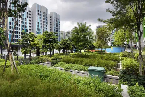 Is public housing in Singapore's resale market still within reach?