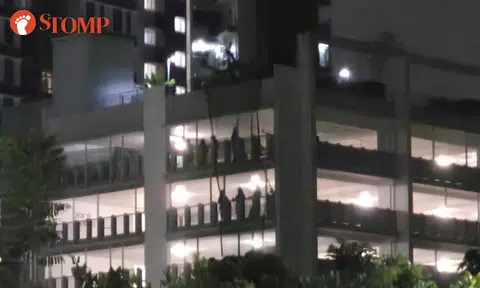 A teenage girl was apprehended by the police at a Punggol carpark building on June 10. 