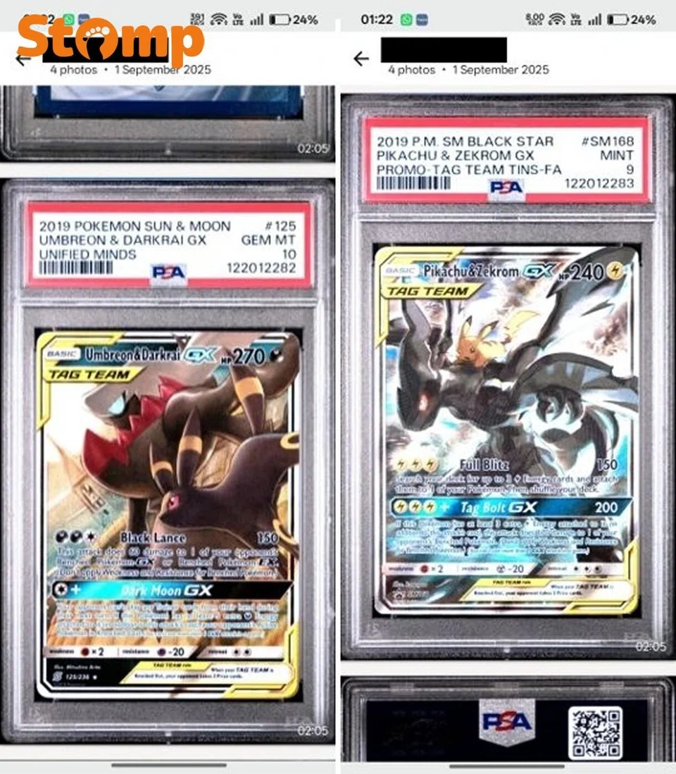 Pokemon cards, theft, family dispute
