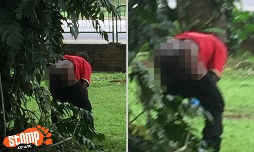 Man who took a dump along Indus Rd probably could not tell tree from toilet