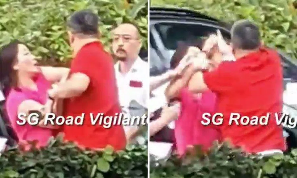 PHOTOS: SG ROAD VIGILANTE/YOUTUBE