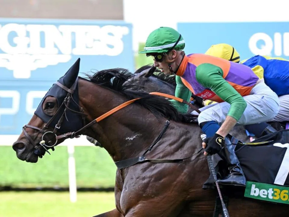 Quinault (Luke Catton) winning a handicap over 1,400m at Ascot in England on Sept 9, 2023. The German-bred's charmed run will vault him into the bright lights of Meydan in the Group 1 Al Quoz Sprint (1,200m) on April 5. 
