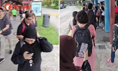 Long queue for bridging service during TEL disruption, SMRT president apologises twice in 5 hours