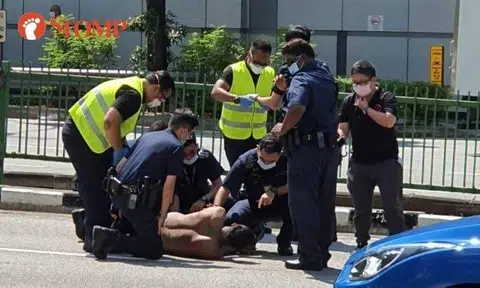Jail for man who was tasered after attacking police officers while resisting arrest