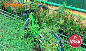 Abandoned Anywheel bicycle in Sungei Kadut has vines growing around it