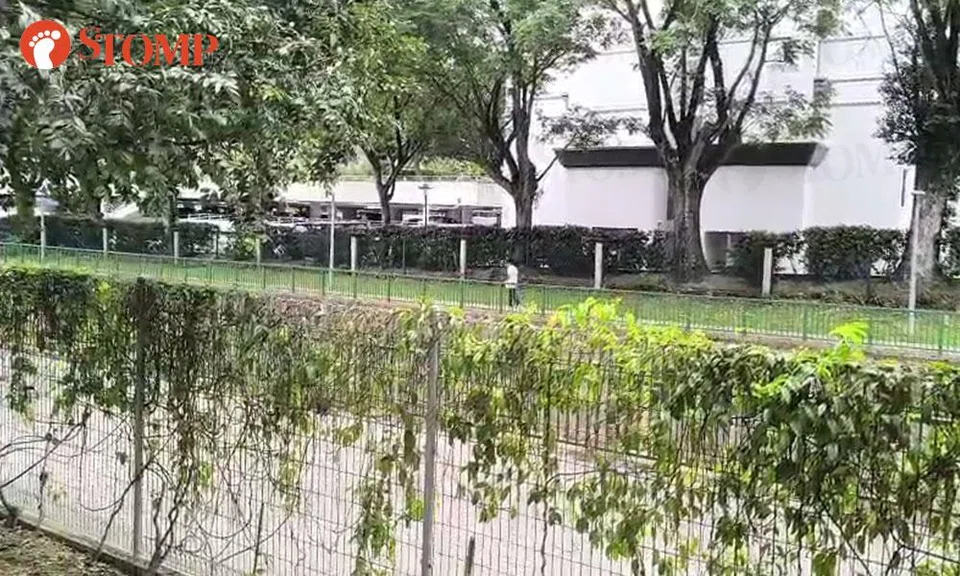 horrifying and distressing screams in upper bukit timah