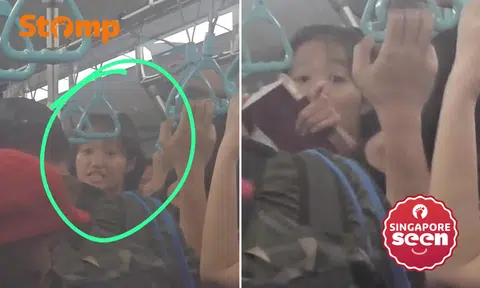 Woman on packed train rants: 'World thinks Covid-19 spread by us Chinese, but it was you people of S'pore'