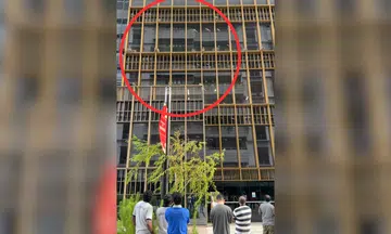 Monkeys scale building in Punggol Digital District, amuses onlookers