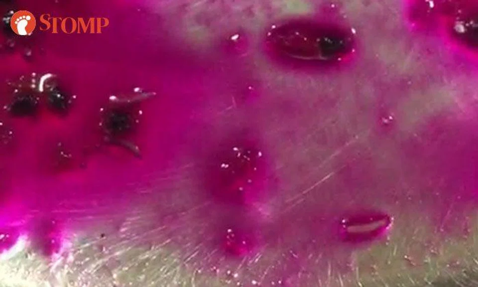 Giant Supermarket responds after customer finds "something white and moving" in dragonfruit