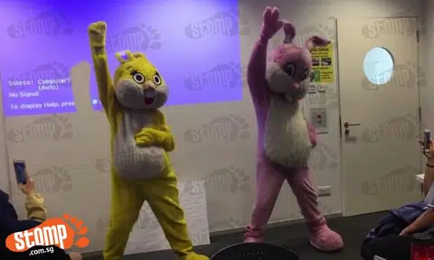 Hip-hop bunnies spotted dishing out their dance moves at Republic Polytechnic