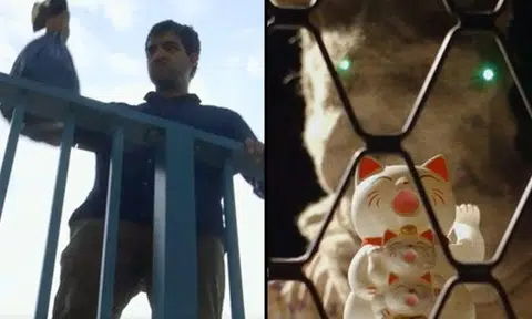 Man drowns kittens -- only to start hallucinating and seeing cats everywhere