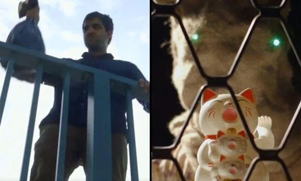 Man drowns kittens -- only to start hallucinating and seeing cats everywhere