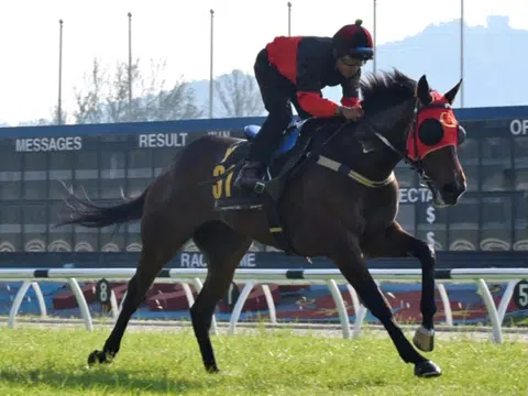 Storm Titan (Uzair Sharudin) coming away with a relatively easy win in barrier trial No. 2 at Sungai Besi on May 27. The Richard Lim-trained newcomer has now won twice in as many barrier trials. 
