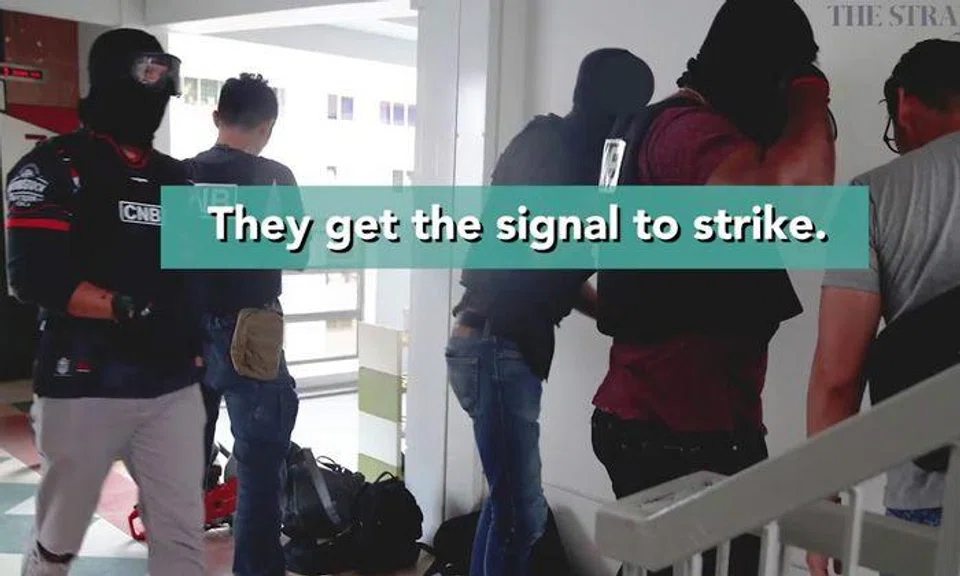 Mad dashes, door-breaching and drugs thrown out of window: Here's what goes on in a CNB drug bust