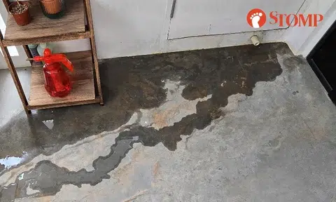 Water leakage at Tengah block unresolved since Aug 2024, says frustrated resident: 'Caused me to slip and fall'