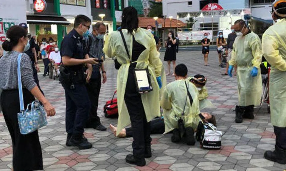 Wild boar that knocked out woman in Yishun caught and 'euthanised humanely'