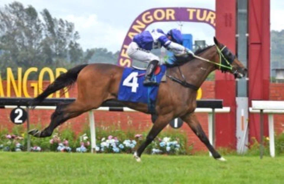 Te Akau Ben (Khaw Choon Kit) winning easily by seven lengths in the Metro A race (1,600m) on March 1. He showed good toe in his trackwork on April 1.