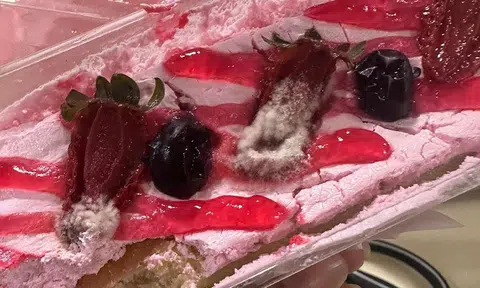 Woman finds mouldy tiramisu in $109 dessert order, shop denies refund due to CDC vouchers