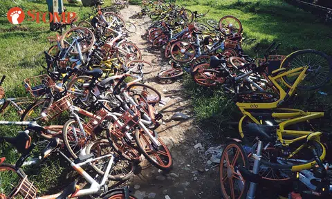 Jurong construction site becomes "mass grave" for shared bikes
