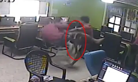 'Monster kill' for snake who wreaked havoc after invading Thai internet cafe