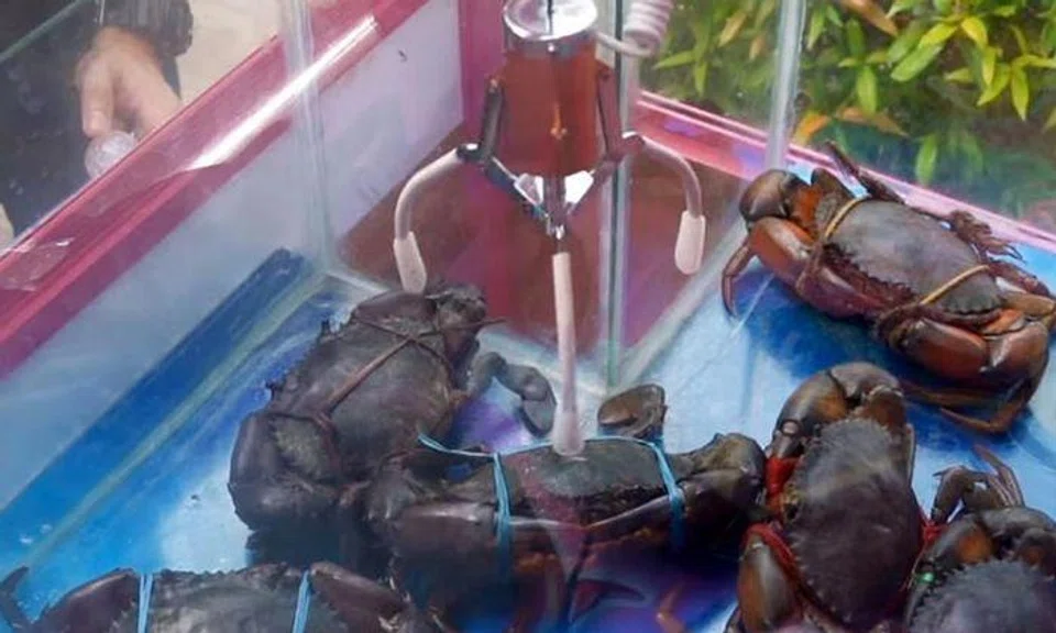 Photos: SHOUT / Facebook