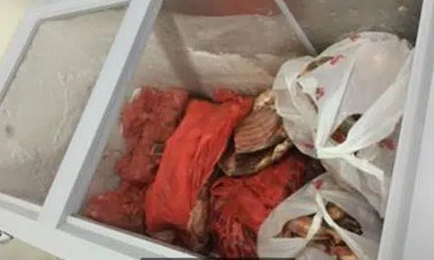 Photo: Agri-food and Veterinary Authority (AVA)