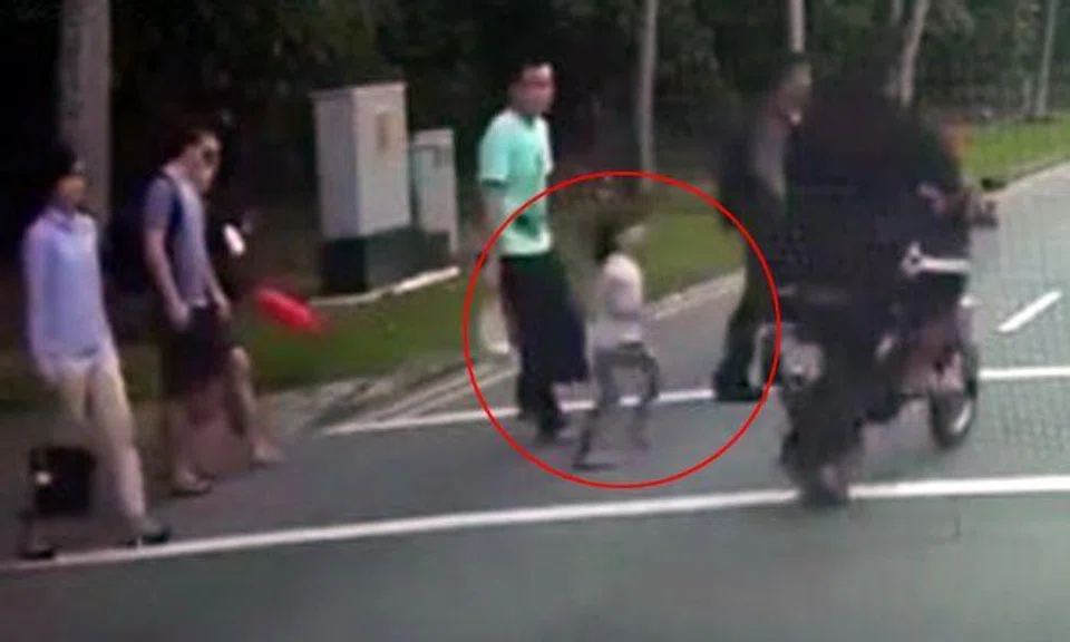 E-scooter rider almost runs over little girl after beating red light