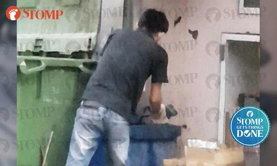 AVA investigating alleged inhumane slaughtering of frogs at Bugis restaurant filmed by Stomper