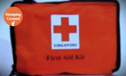 Biz owner concerned foreign employee with cancelled work pass exploiting Work Injury Compensation Act