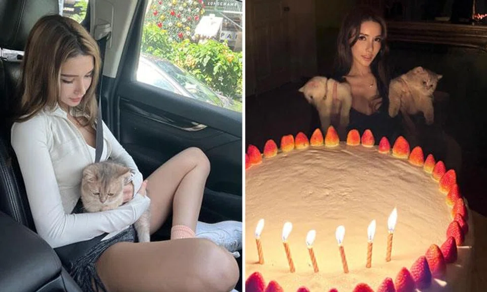 Jade Rasif loves her cats