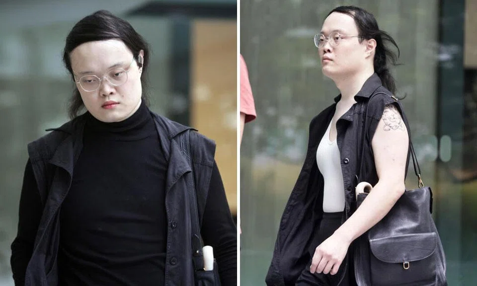 Alina Meridian, who had initially claimed trial, pleaded guilty to an assault charge.