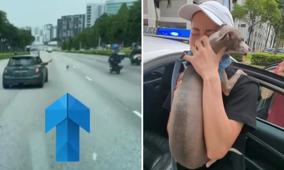 Following a dramatic rescue involving motorists and the police on a busy expressway, a pet dog was reunited with his tearful owner a day after he escaped.