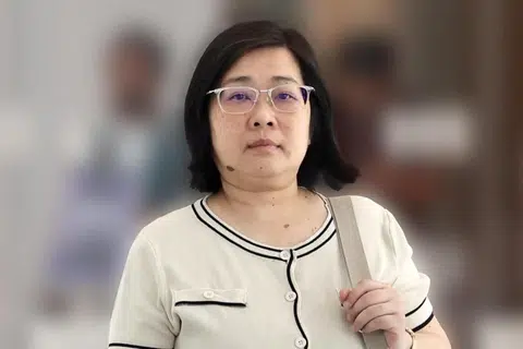 Fu was a First Sergeant in the Singapore Armed Forces, but resigned after she went bankrupt.