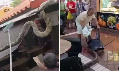 members of public catch python at teck whye coffee shop