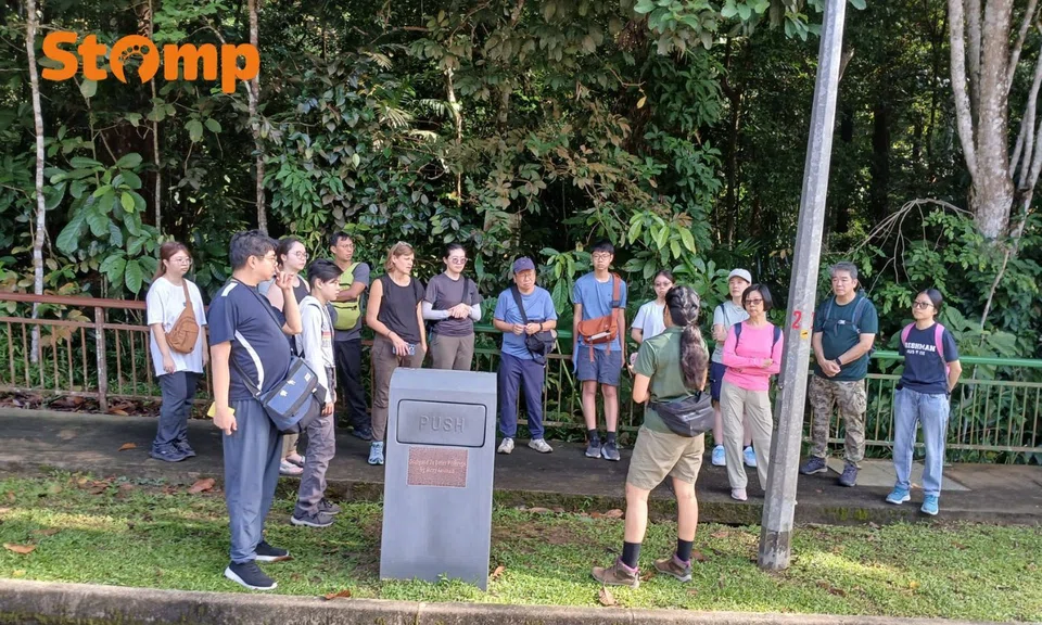 ‘As long as the monkeys need me’: Why this teacher spends her weekends protecting S’pore’s monkeys