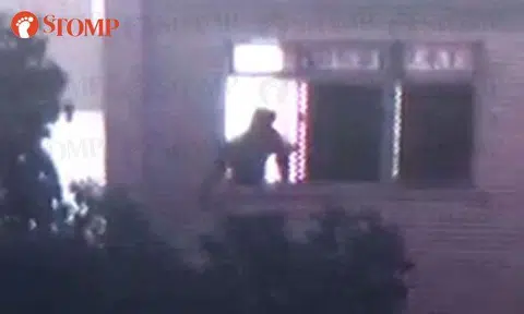 Yishun Block 726 resident uses slingshot to fling rocks at birds