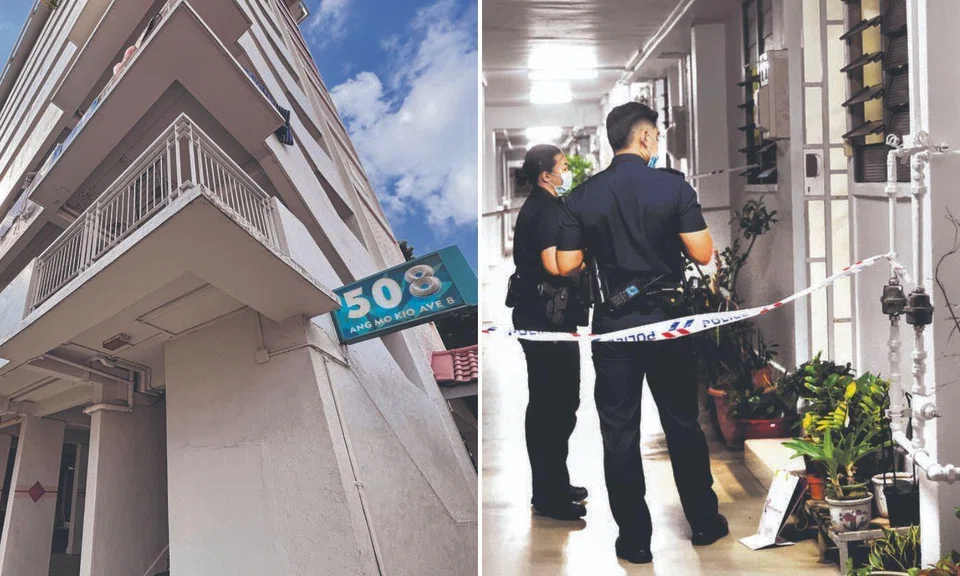 Bedok HDB, Ang Mo Kio HDB