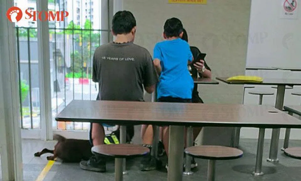 Family bring pet dog with them for dinner at hawker centre: 'It's inconsiderate and unhygienic'