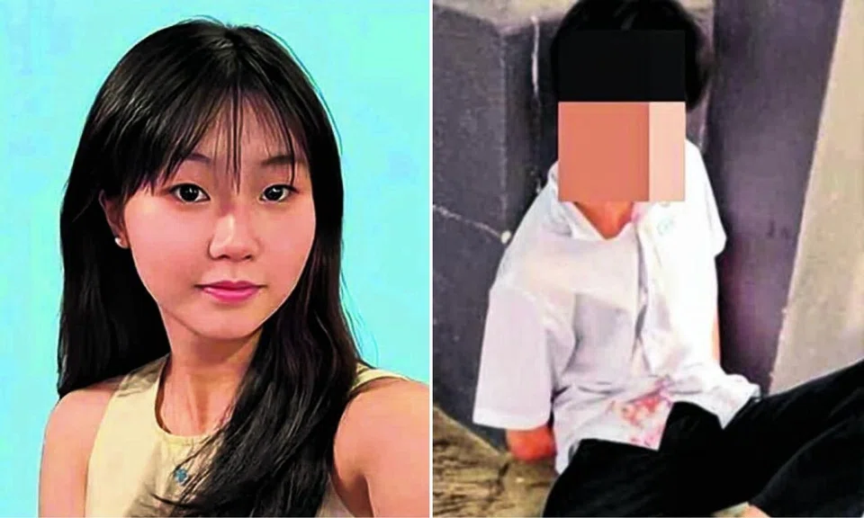 teen not guilty murdering schoolmate fatal stabbing