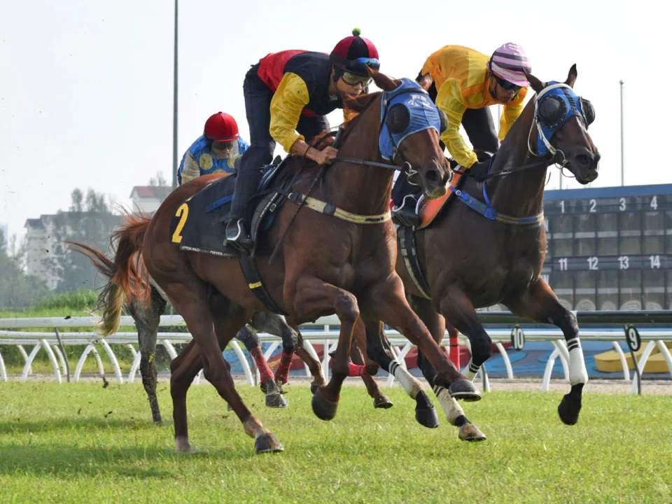 The Richard Lim-trained Elite Boy (Uzair Sharudin), on the outside, bringing up a second win in as many barrier trials at Sungai Besi on April 29.


