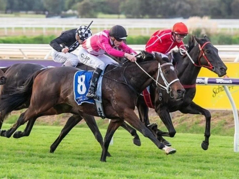 Correct Choice (Clint Johnston-Porter) bagging the last race at Ascot on May 3. The Michael Grantham-trained galloper will attempt to wrap up the Belmont meeting on May 17 on the same winning note. 
