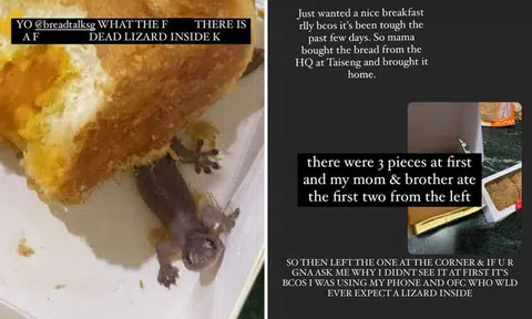 Woman disgusted to find dead lizard in box of buns: BreadTalk investigating