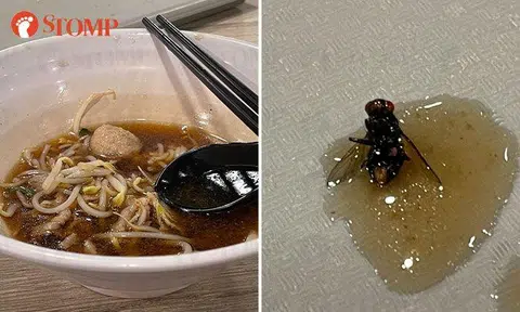 Woman finds 'f***ing big fly' in beef noodle soup after finishing almost all her food