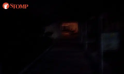 power outage spotiswoode park road