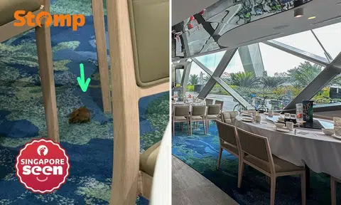 Rat interrupts CNY dinner at TungLok Seafood at Gardens by The Bay, SFA investigating