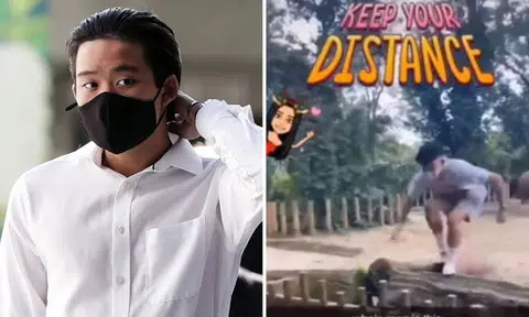 Youth who did a backflip in Singapore Zoo rhino enclosure charged with offences including vandalism