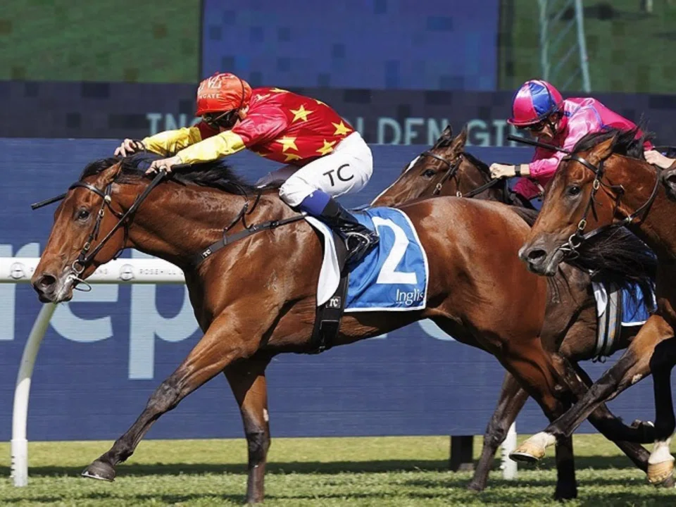 Sporting the China Horse Club colours, the Gai Waterhouse & Adrian Bott-trained North England (Tim Clark) hanging on for dear life to fall in by a neck in the Group 3 Golden Gift (1,100m) at Rosehill on Nov 9, 2024.
