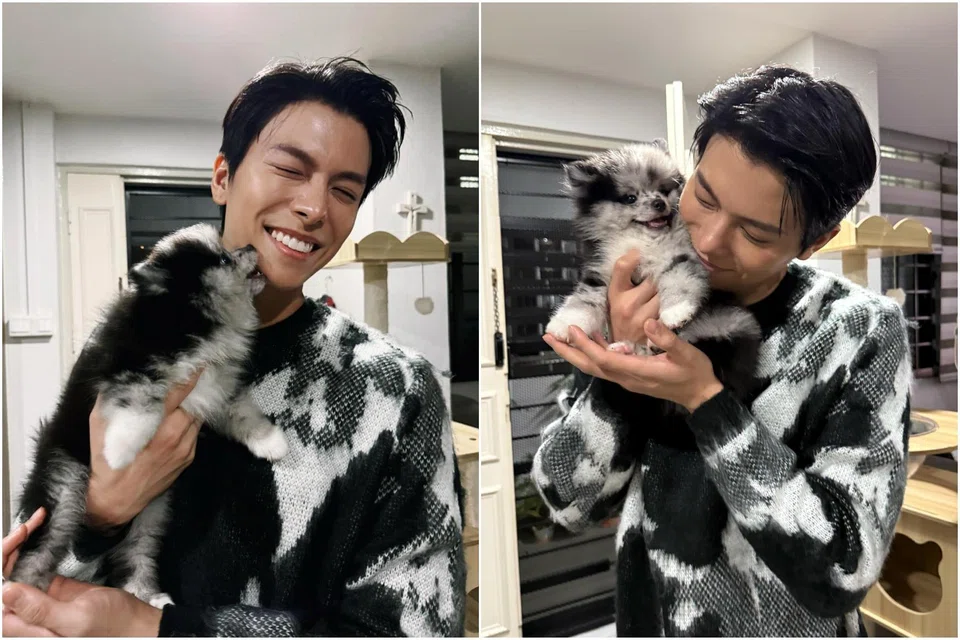 Singaporean actor-singer Glenn Yong with his merle pomeranian Rio.