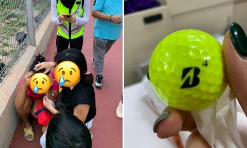 Tanah Merah Country Club apologises after golf ball hits maid at Jurassic Mile, will work with CAG to ensure safety