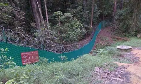 cyclist shot at Central Catchment Nature Reserve